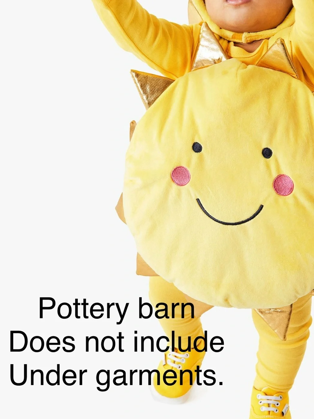Pottery Barn Kids - Sunny costume